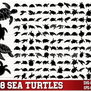 Meeresschildkröte SVG PNG Bundle, Meeresschildkröte Clipart, Meeresschildkröte SVG, Meeresschildkröte Png, Meeresschildkröte Silhouette, Schildkröte geschnitten Datei