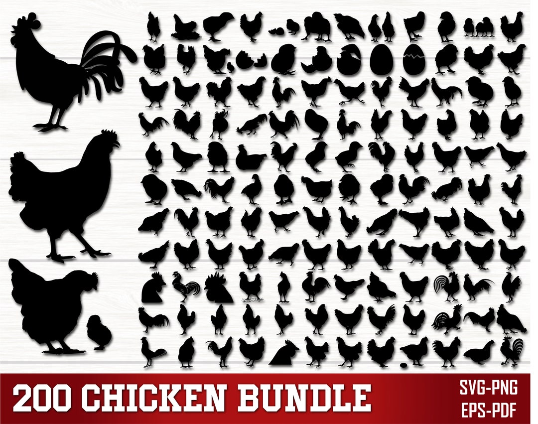 Pollolin Svg Paquete SVG PNG de pollo, Clipart de pollo, Gallo svg, Granja svg ...