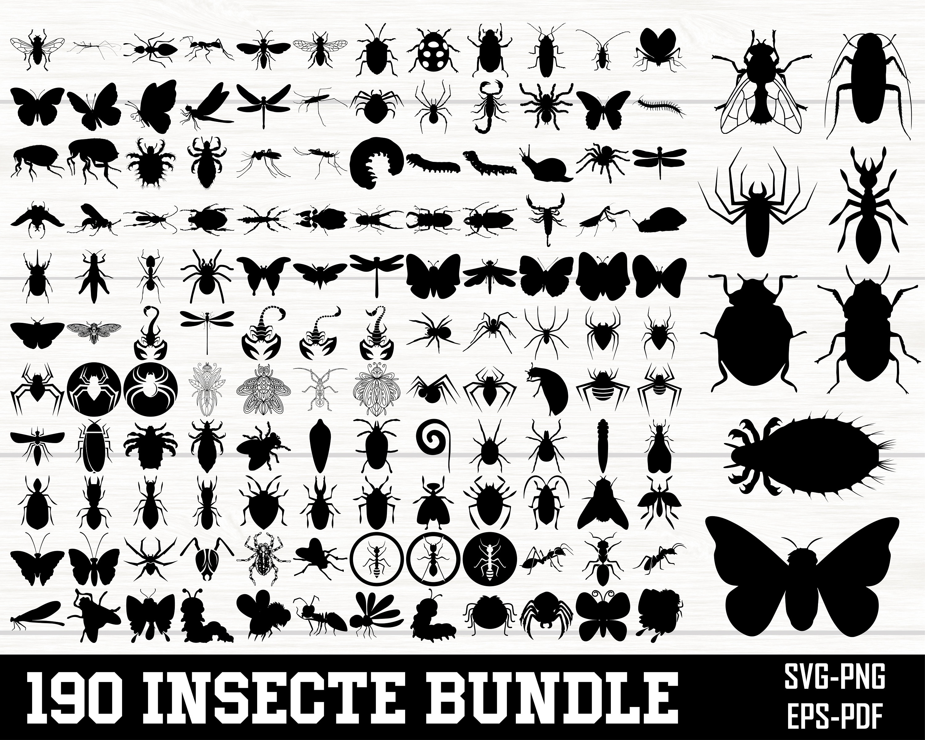 Insects Racing Svg Insect SVG Bundle, Insect PNG Bundle, Insect Clipart, Insect Svg ...