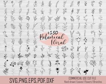 Botanical Svg Bundle | Flower Svg | Botanical Clipart | Flower Clipart | Floral Leaves and Branches Bundle Svg | Commercial Use Included