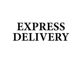 Express Delivery (USA)