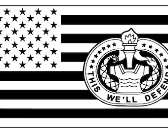 Drill Sergeant American Flag