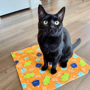 Refillable Catnip Kitty Mat