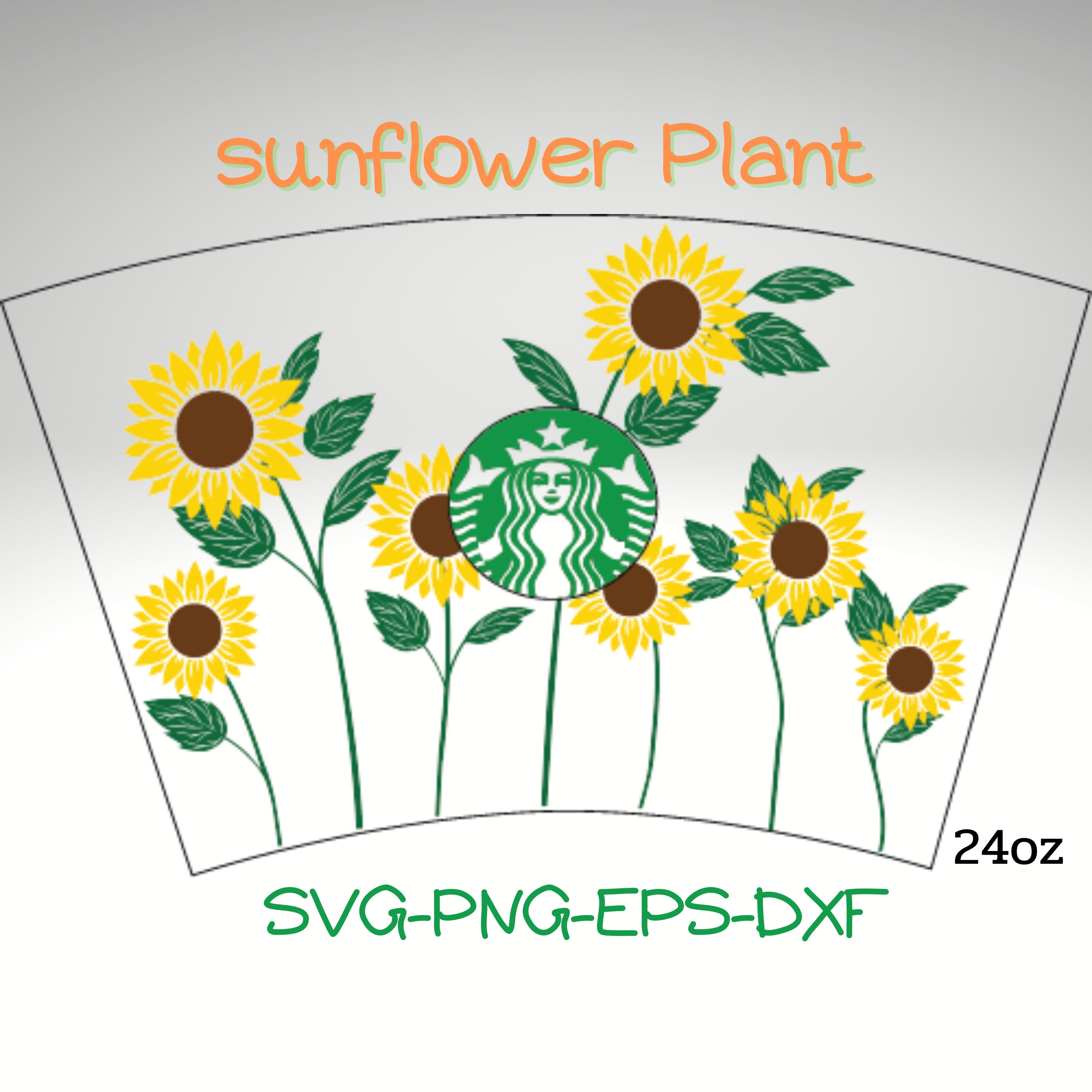 Download Sunflower plant starbucks full wrap svg png eps dxf ...