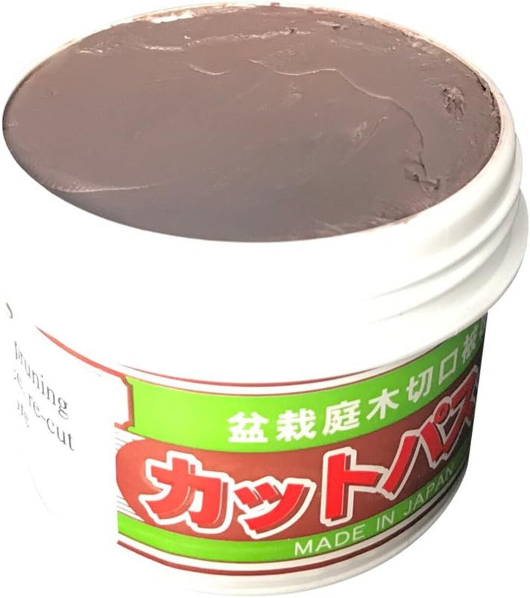 Deciduous Bonsai Cut Putty Wound Sealant for Bonsai 160g Jar of Protective Putty Etsy