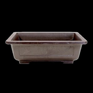 May include: A rectangular brown bonsai pot with a slightly raised rim and three small feet on the bottom.