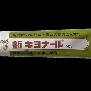 Shin Kiyonaru Kiyonal Cut Paste & Wound Sealer- 100g Tube