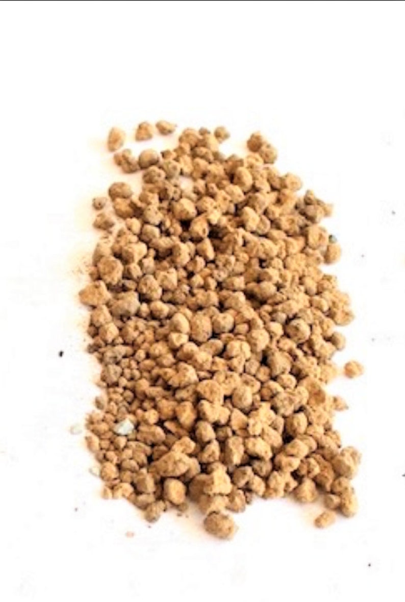 Akadama Soil Japanese Bonsai Substrate 3lb Bag Etsy