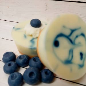 Blueberry Cheesecake wax Melts/Fake food melts/ food wax melts/ realistic cheesecake wax melt