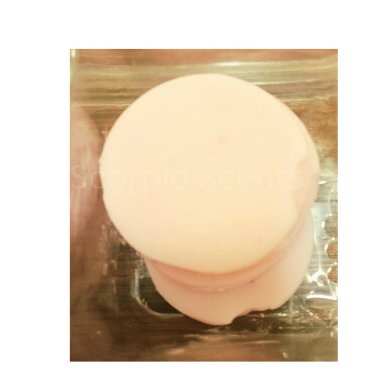Wax Melts/ Realistic Wax Melts/ Fake food Wax Melts/ Scorpio Scents