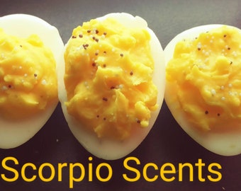 Wax Melts/ Faux Food wax melt/ Fake Food Wax melts/