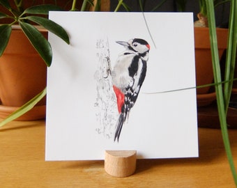 Postcard 14x14cm Naturalist illustration Bird Pic epeiche - Dendrocopos major