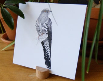 Postcard 14x14cm | | naturalist illustration bird| Grey cuckoo - Cuculus canorus