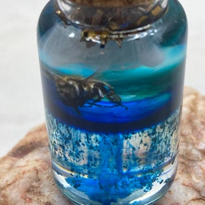 Honeybee Rain Jar Pendant