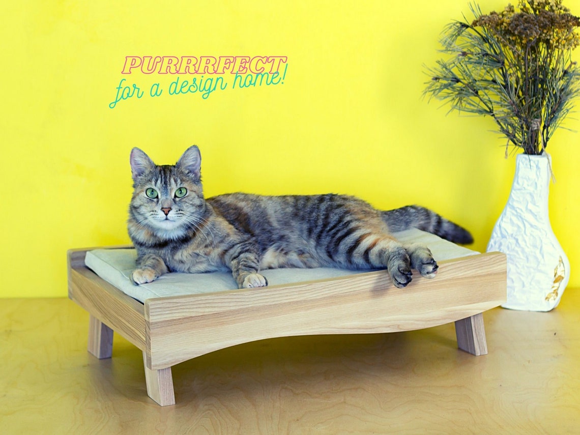 Wood cat bed with ecofriendly cushion on legs in minimalist Etsy