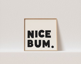 May include: A framed print with the text "NICE BUM." in black bold letters on a white background.