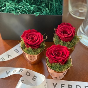 Forever Rose Gift Box: Three Red Roses in Rose Gold Vases - Perfect Bridesmaid Gift/ Anniversary Gift/ Birthday Gift/Housewarming Gift