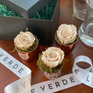 Forever Rose Gift Box: Three Champagne Roses in Rose Gold Vases- Perfect Bridesmaid Gift/ Anniversary Gift/ Birthday Gift/Holiday Gift