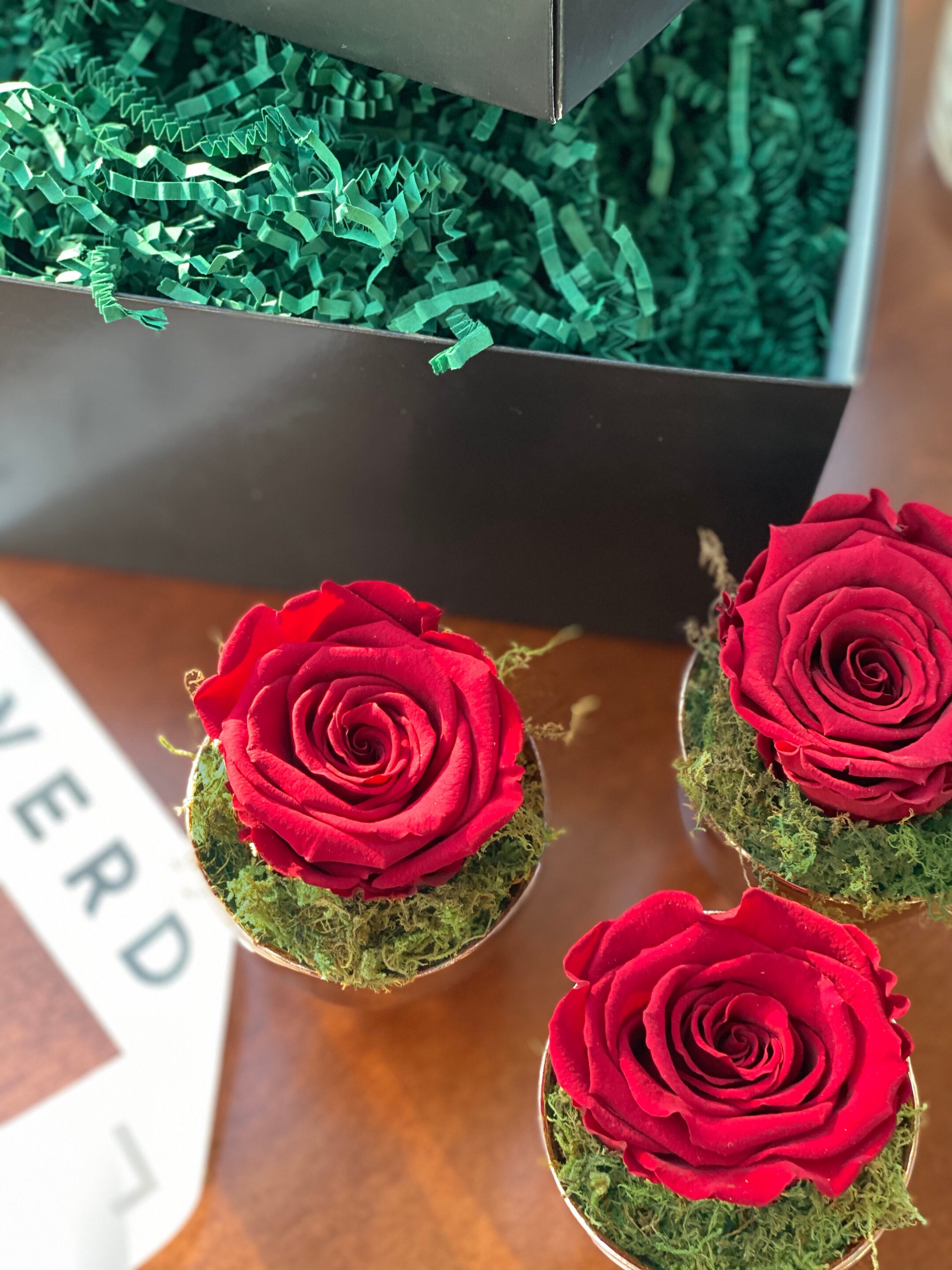Forever Rose Gift Box Three Red Roses in Rose Gold Vases Perfect