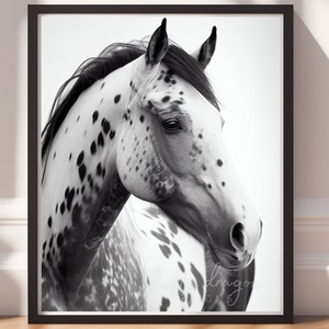 Equestrian Art Print: Black and White Horse Portrait (Digital Download)