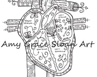 Download Anatomical Coloring Etsy