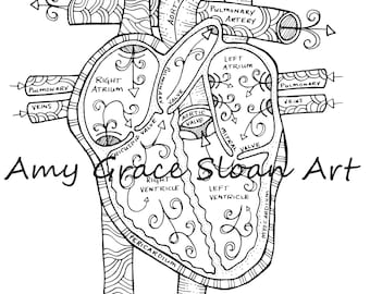 Kolorowanki Anatomia Człowieka