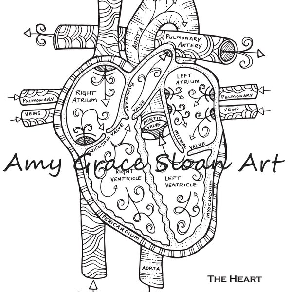 Menselijke anatomie kleurplaten