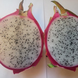 100+Seeds White dragon fruits (Pitaya white-fleshed pitaya) free shipping(International requires minimum 2 order for free shipping)