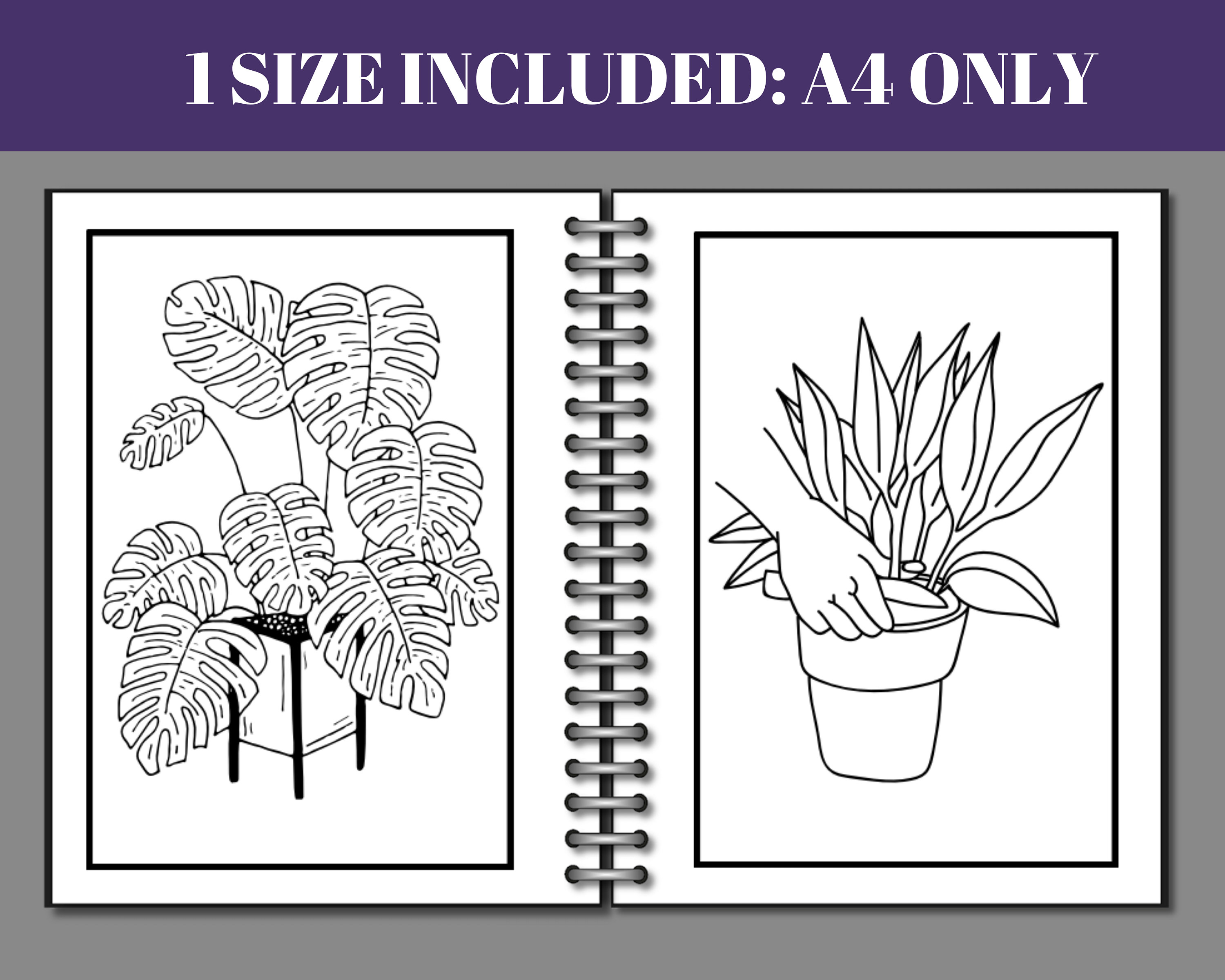 70 Houseplant Coloring Pages Printable Adorable Succulent - Etsy UK