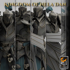 Nela Dan Elf Pretorian | DnD | Tabletop Games | Wargames | Miniature | Lord of the Print
