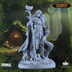 Druid - Meridya | DnD | Tabletop Games | Wargames | Miniature | Primal Collectibles