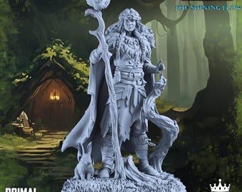 Druid - Meridya | DnD | Tabletop Games | Wargames | Miniature | Primal Collectibles
