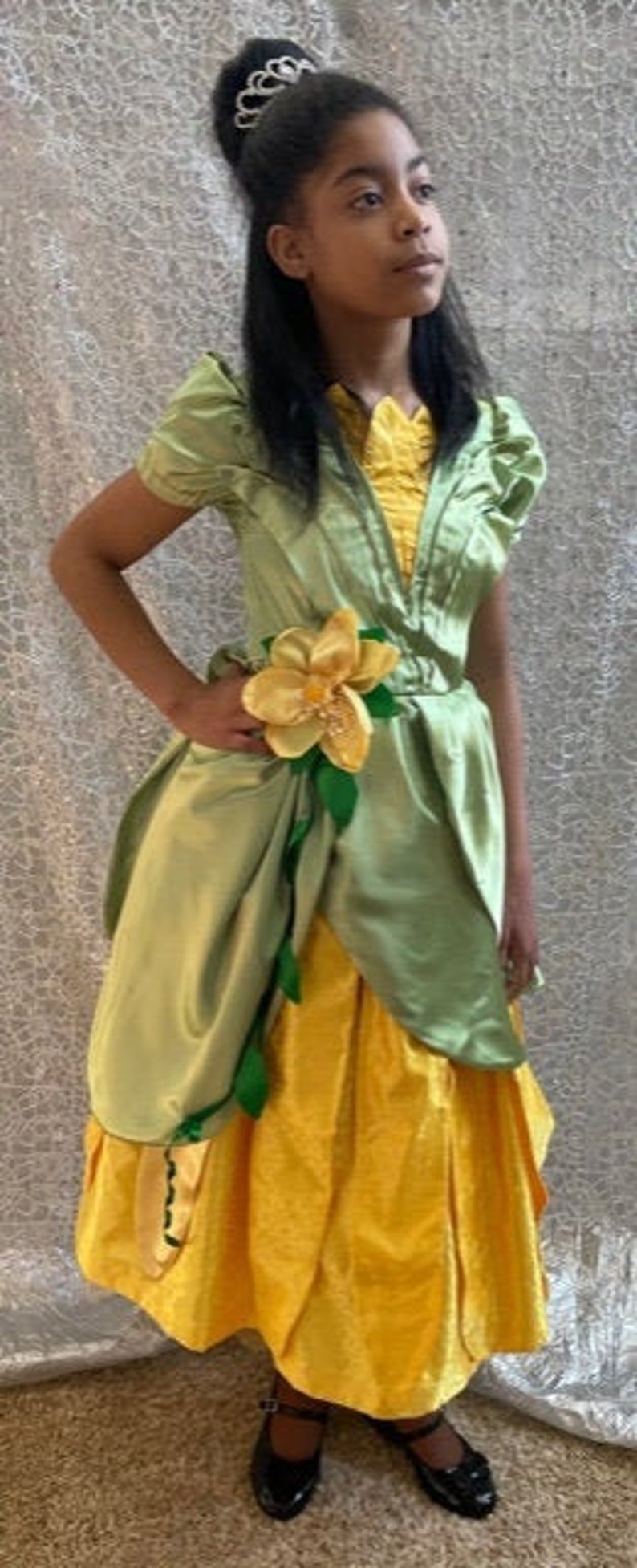 Tiana Dress / Disney Princess Dress Princess and the Frog Costume