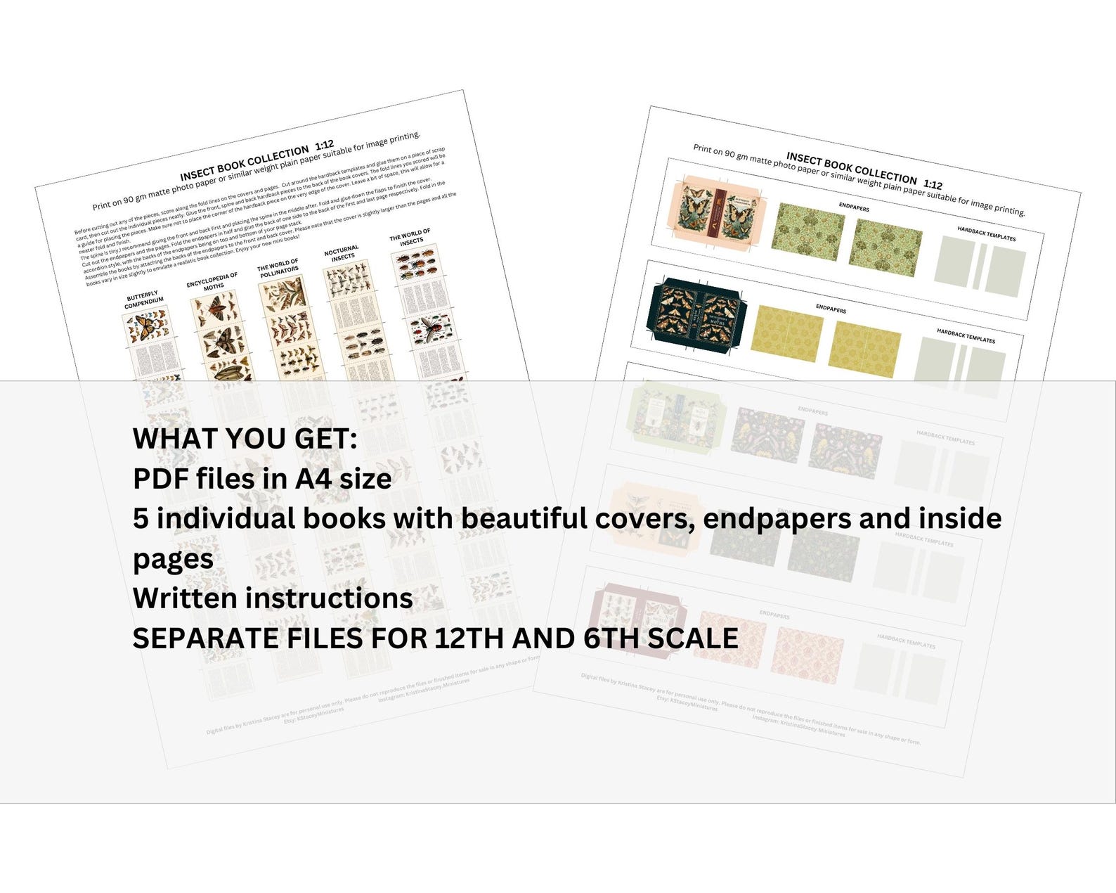 INSECT BOOK COLLECTION, 5 Books With Pages, 12th and 6th Scale ...