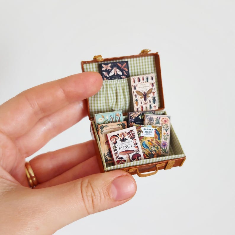 Puede incluir: Una maleta marr&oacute;n en miniatura llena de libros en miniatura sobre la naturaleza, incluyendo un libro sobre hongos, un libro sobre p&aacute;jaros de jard&iacute;n y un libro sobre insectos. La maleta est&aacute; abierta y los libros son visibles.