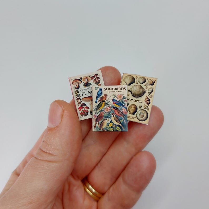 Puede incluir: Tres libros en miniatura con ilustraciones coloridas. Los libros se titulan "A Compendium of Fungi", "Songbirds" y "Molluscs".