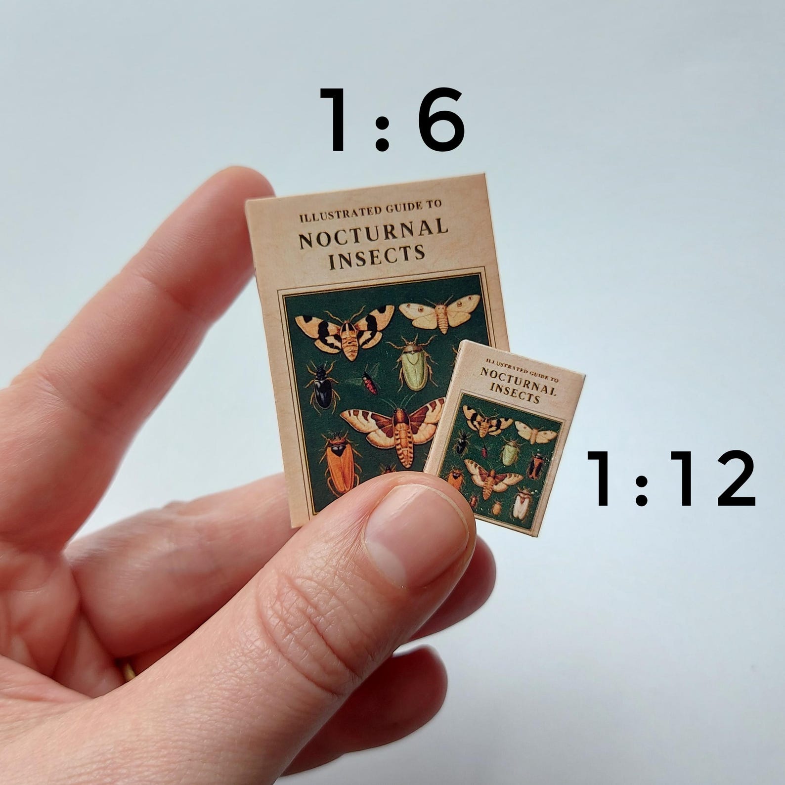 INSECT BOOK COLLECTION, 5 Books With Pages, 12th and 6th Scale ...