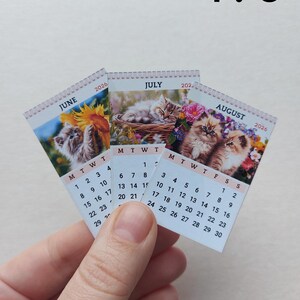 May include: Three miniature 2026 wall calendars for June, July, and August, each featuring a different kitten photograph. The calendars display the month name, year, and a grid of dates with black text on a white background. The text 1:6 is visible.