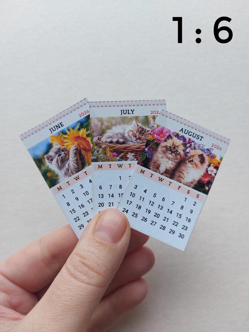 May include: Three miniature 2026 wall calendars for June, July, and August, each featuring a different kitten photograph. The calendars display the month name, year, and a grid of dates with black text on a white background. The text 1:6 is visible.