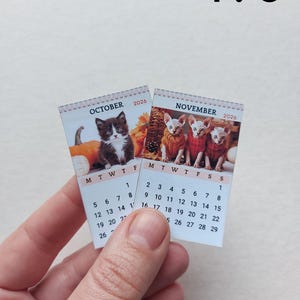 May include: Two miniature 2026 wall calendars for October and November. The October page features a kitten with pumpkins, while the November page shows three hairless cats in sweaters. The text 1:6 is printed in the upper right corner of the image.