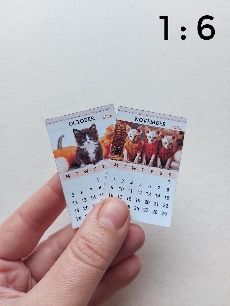 May include: Two miniature 2026 wall calendars for October and November. The October page features a kitten with pumpkins, while the November page shows three hairless cats in sweaters. The text 1:6 is printed in the upper right corner of the image.