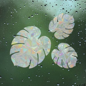 Monstera Leaf Bundle - Sun Catcher Window Decals x 3 - Rainbow Maker Glass Stickers - Plant Decor