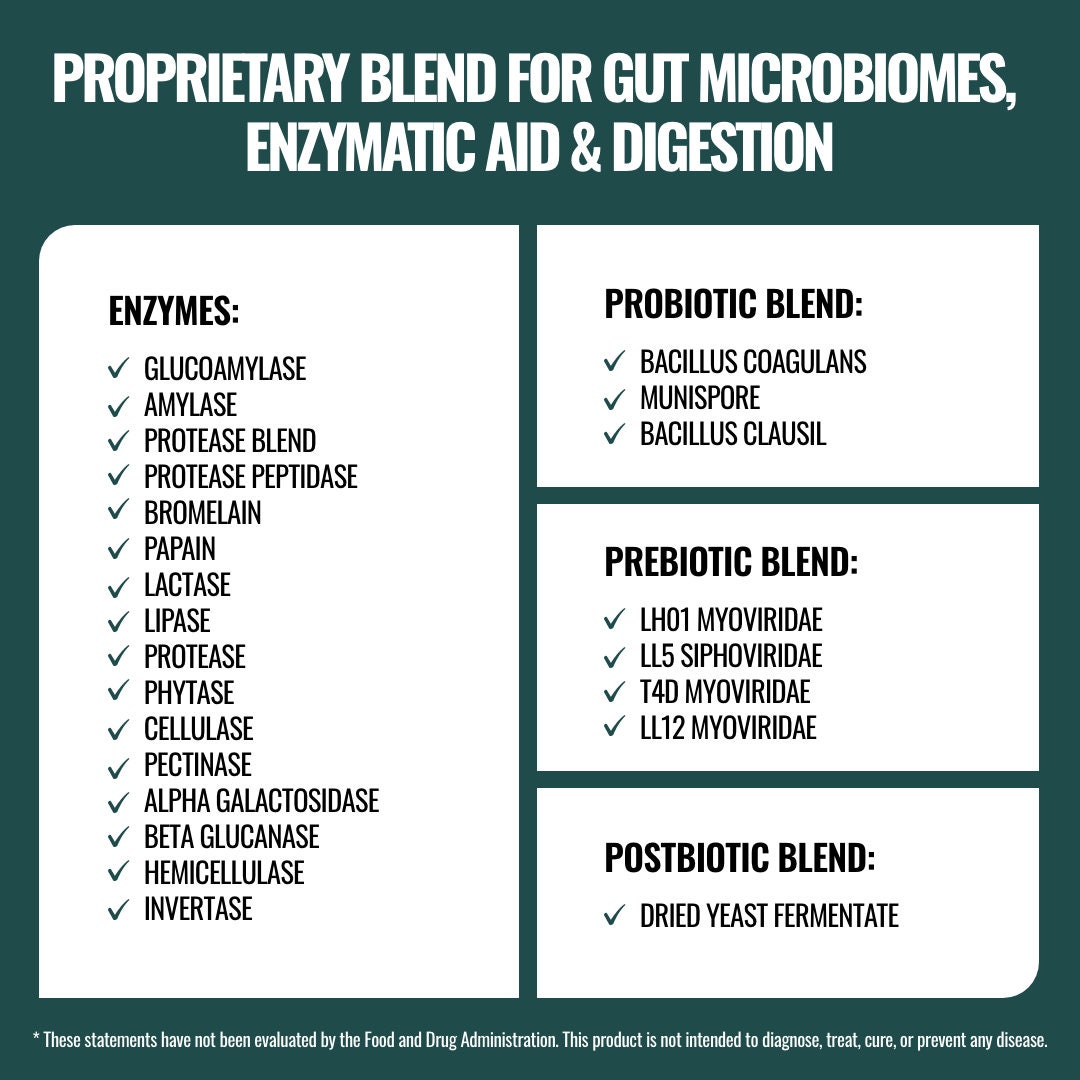 Complete Gut Health Digestive Enzymes Plus Prebiotic Etsy