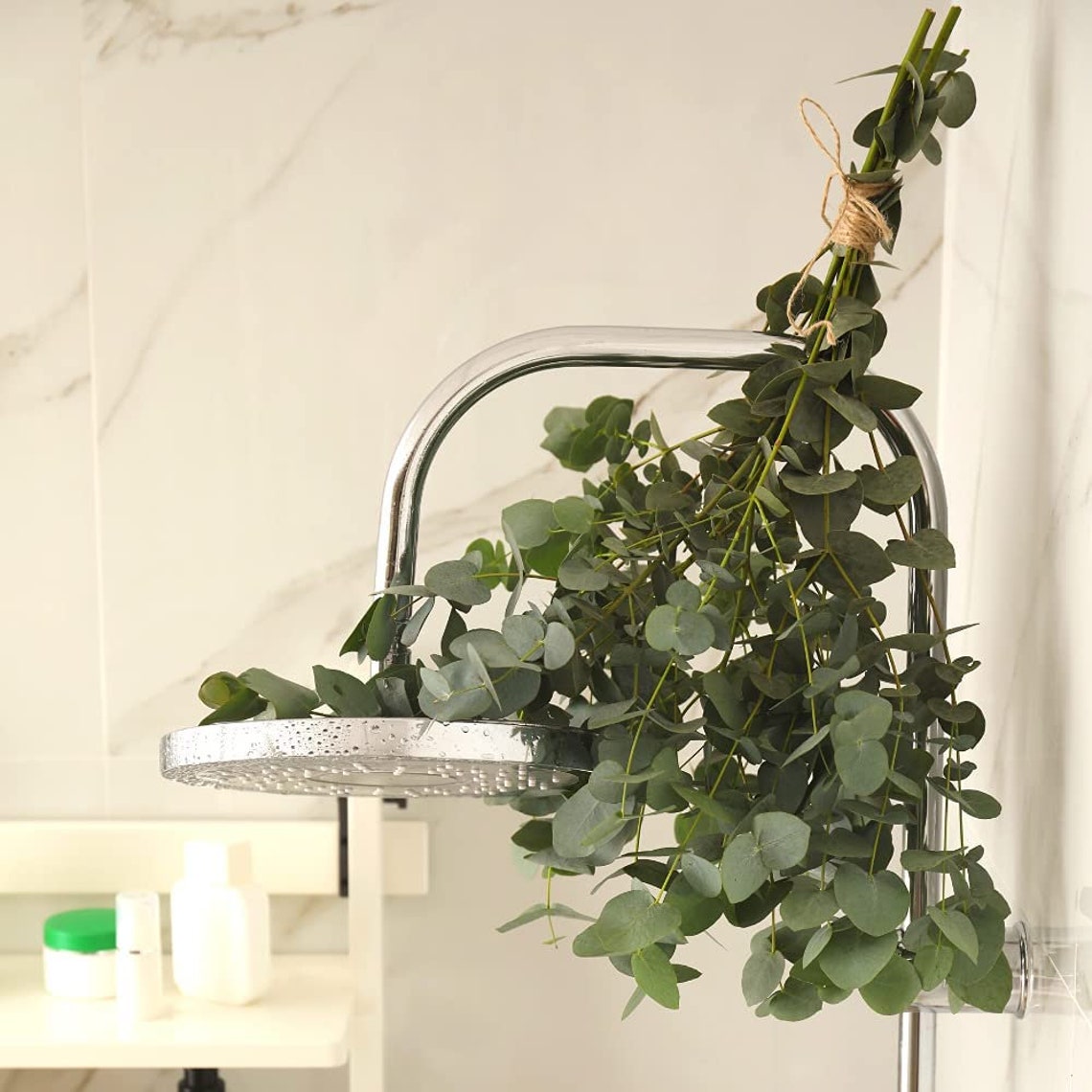 Fresh Shower Eucalyptus Large Bundle in BOX the Best Natural Etsy