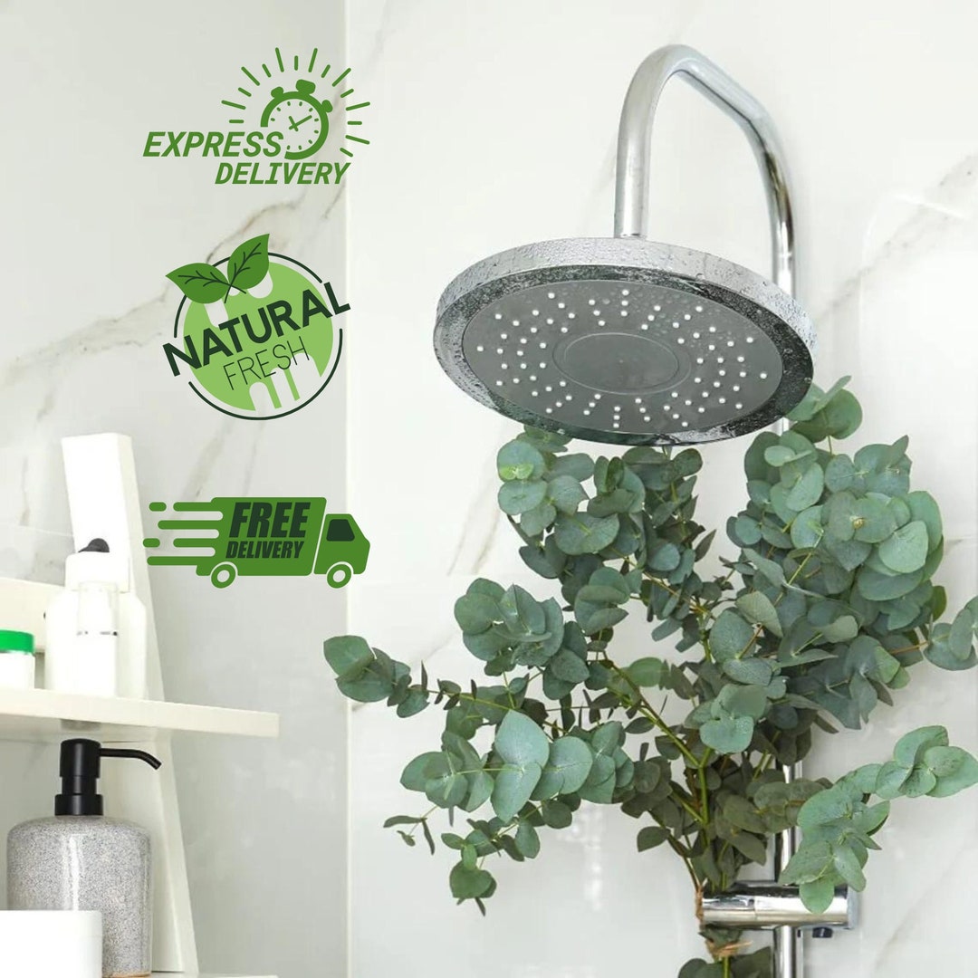 Fresh Shower Eucalyptus Large Bundle in BOX the Best Natural Shower