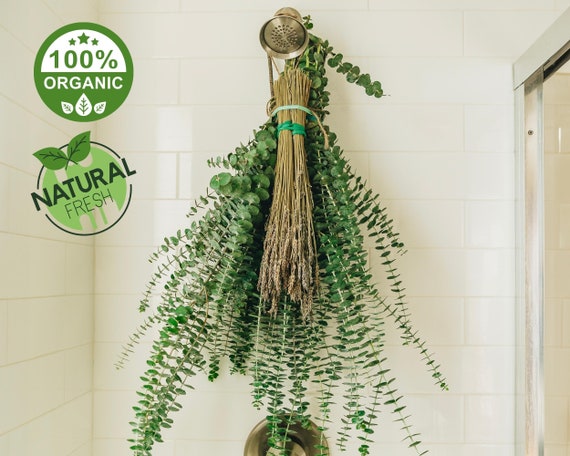 Fresh Eucalyptus and Lavender Shower Bundle (X-Large) | 100% Natural Handpicked Eucalyptus from San Diego, CA