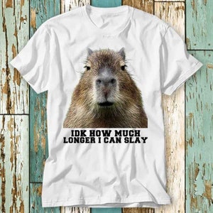 Idk How Much Longer I Can Slay Capybara Sarcastic Dank Meme T Shirt Top Design Unisex Ladies Mens Tee Retro Fashion Vintage Shirt S937