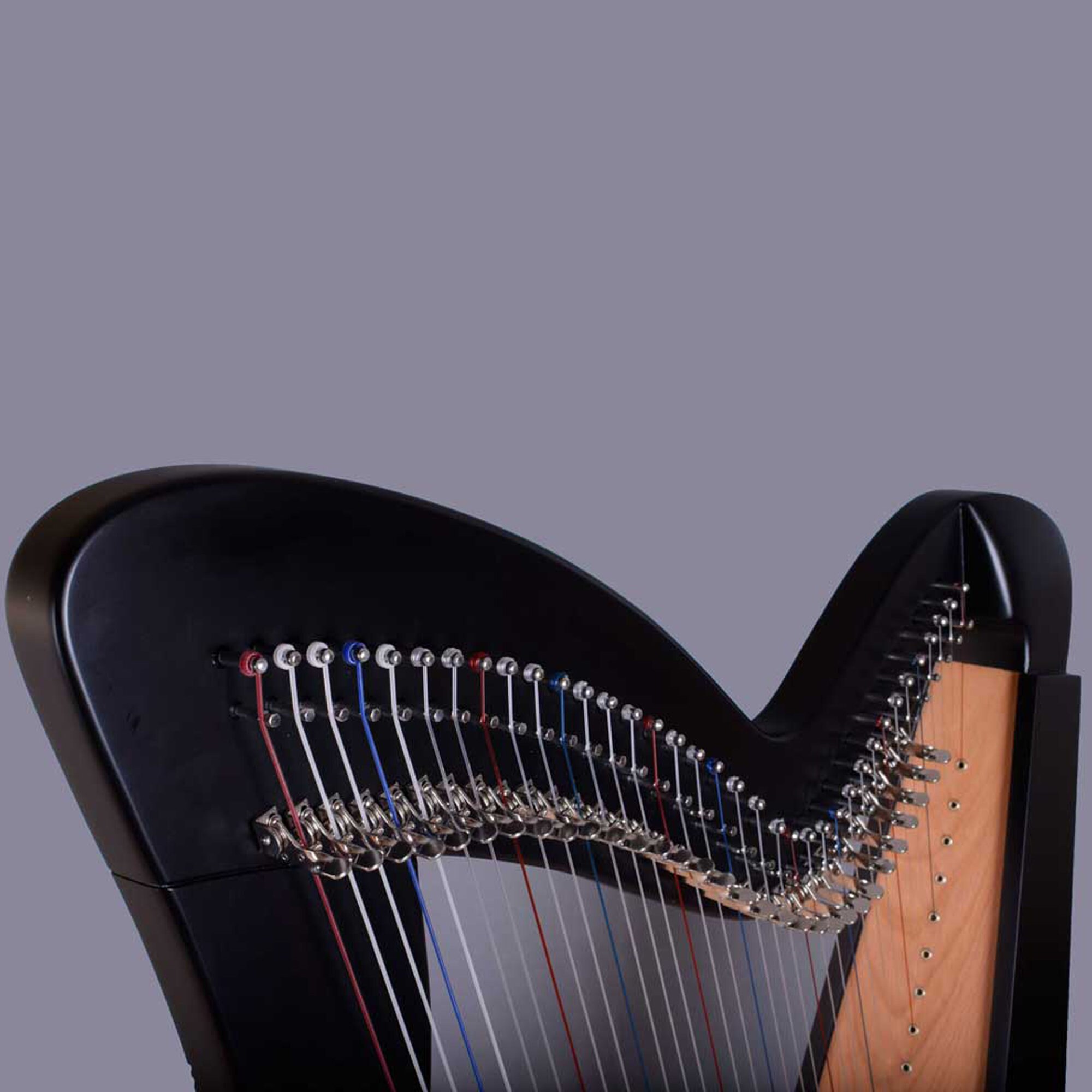 celtic stringed instrument