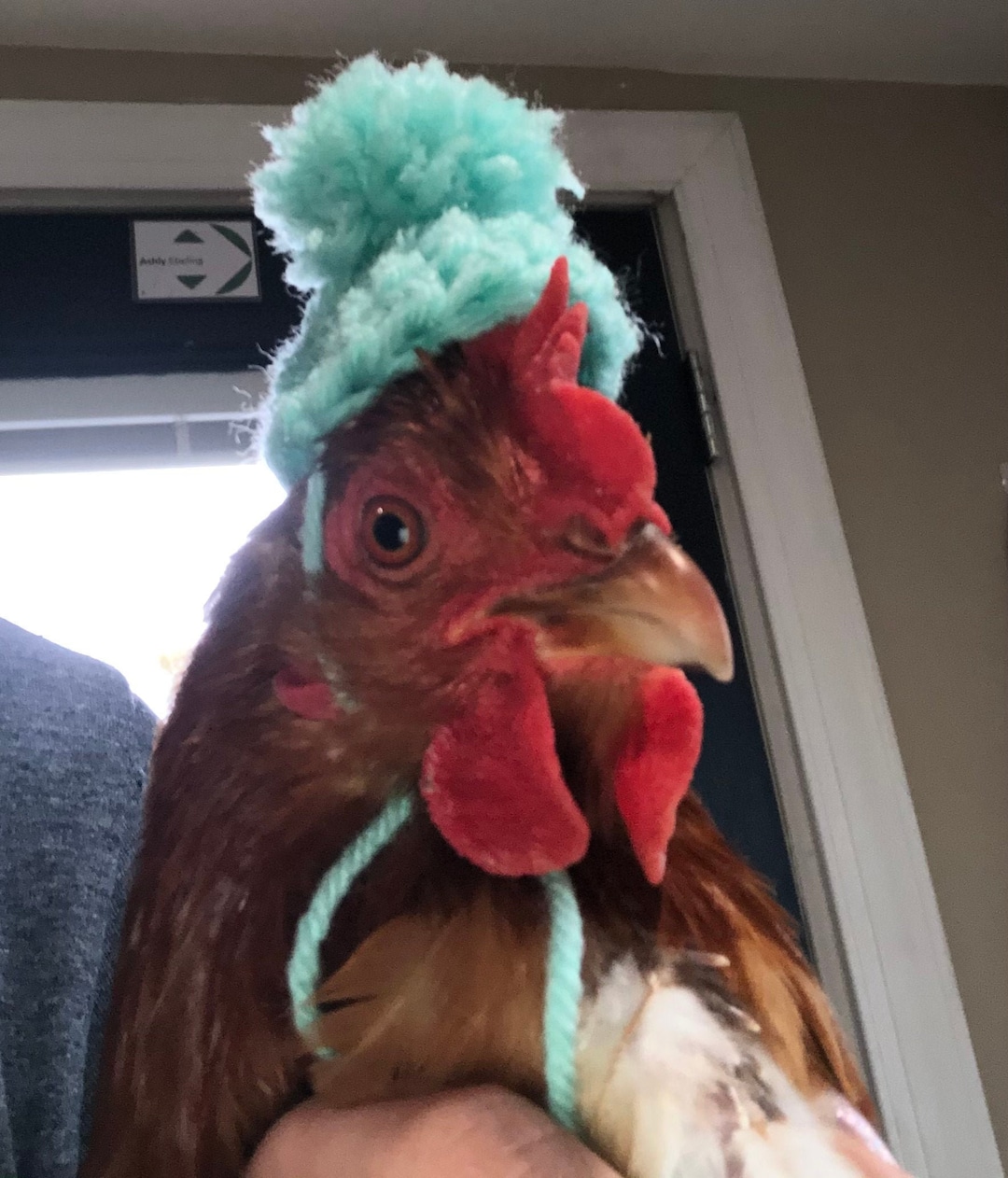 Chicken Hat With Pom Pom - Etsy
