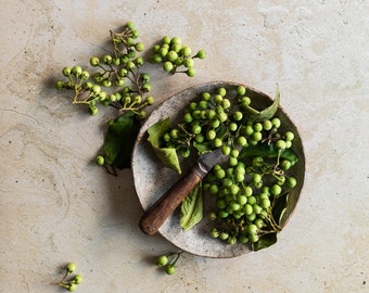 Beige photo backdrop, pitted cement, concrete background, food photography backdrop, stone vinyl backdrop, concrete backdrop, beige surface